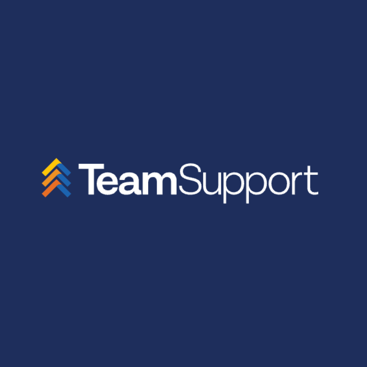 How TeamSupport Raised the Bar in 2024 and What’s Next 